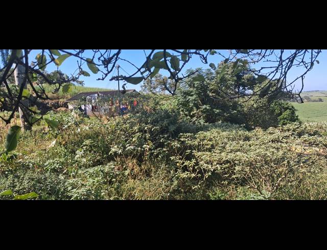 FARM FOR SALE IN HIGH RIDGE